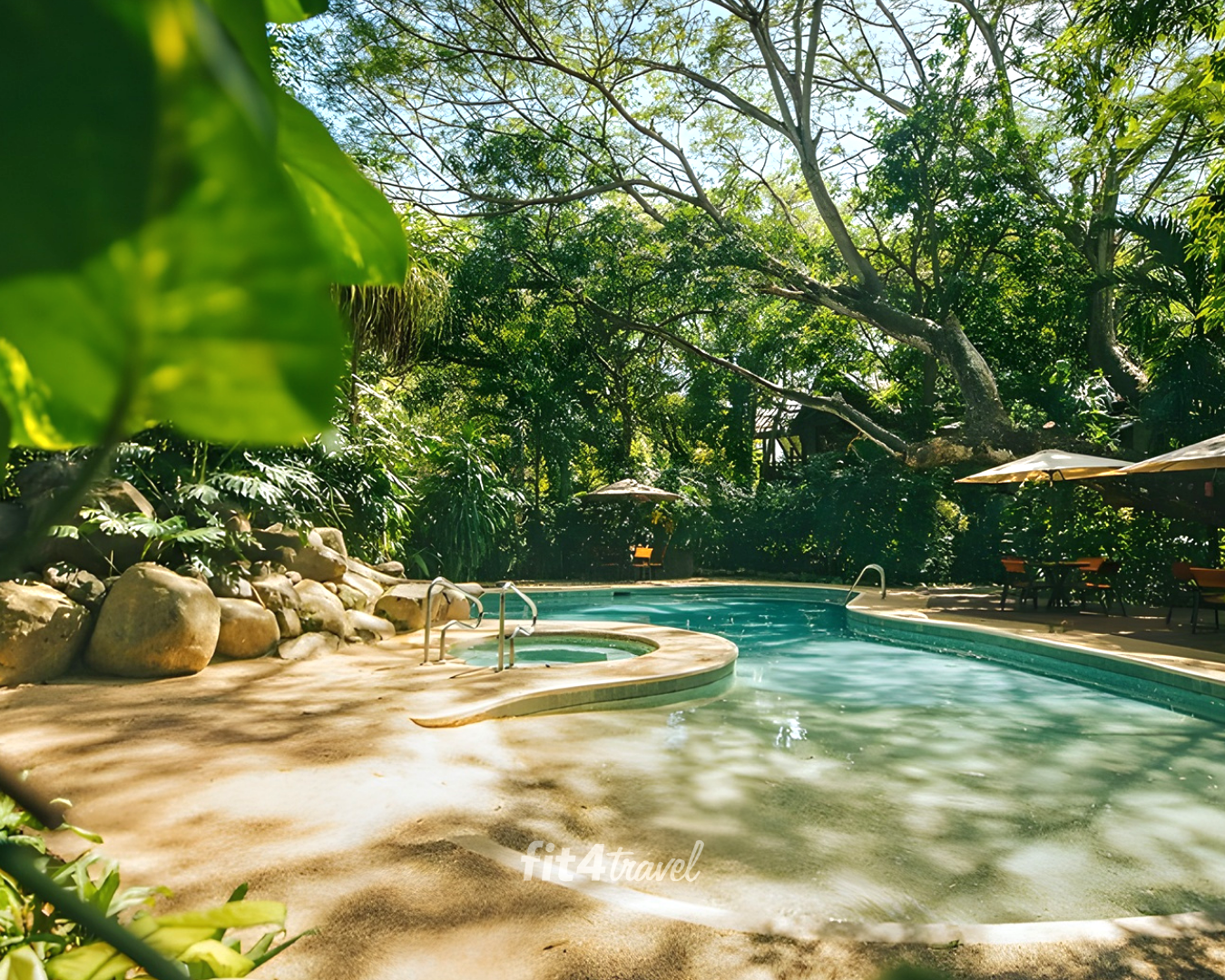 Ocean and Jungle Reset photo 4